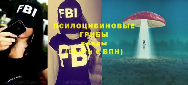 прущие грибы Абдулино